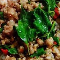 กระเพาหมูสับ