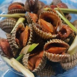 หอยแครงลวกตุ๊กตา สาขา1 ตลาดษมาภรณ์