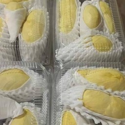 ทุเรียนหมอนทองแกะเนื้อ เจ้ยุ้ย 077 บิ๊กซีเอ็กตร้า อ่อนนุช-50