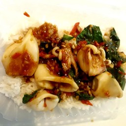 กะเพราปลาหมึกราดข้าว