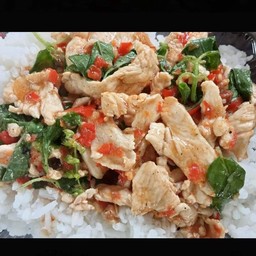 กะเพราไก่ ราดข้าว