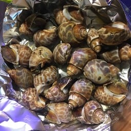 หอยหวานย่าง 1 kg