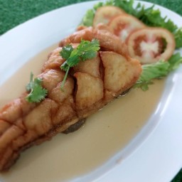 ปลาคังราดน้ำปลา