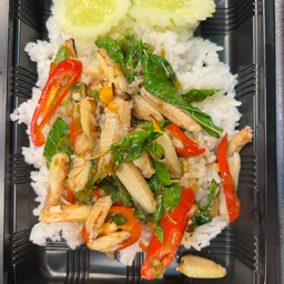 MENU_2115404rf_1676656179