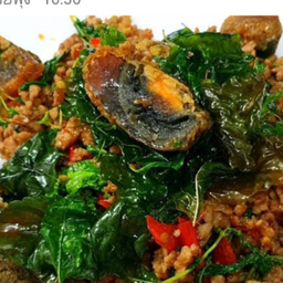 กะเพราไข่เหยี่ยวม้าหมูสับ
