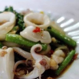 กระเพราปลาหมึก