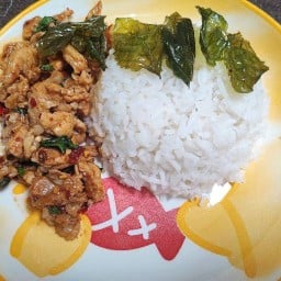 พริก กะเพรา หอม พระปิ่น3