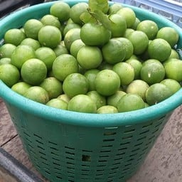 น้ำผลไม้ สดปั่น by พี่บอมบ์ 02