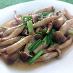 ผัดเห็ดโคนน้ำมันหอย