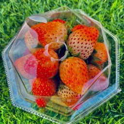 ผลไม้สด ปอกพร้อมทาน ริมเขื่อน by W&M