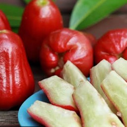 ตามสั่งNigth&ยำ&ผลไม้สด24ชม.