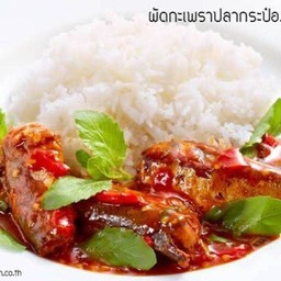 ข้าวกะเพราปลากระป๋อง