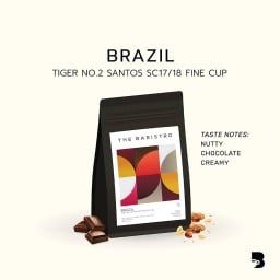 Brazil Tiger No.2 Santos