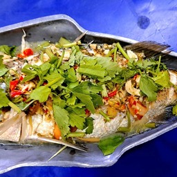 ปลากะพงนึ่งมะนาว