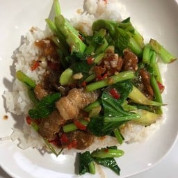 ข้าวราดคะน้าหมูกรอบ