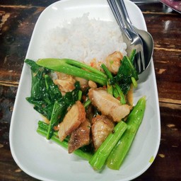 ผัดคะน้าหมูกรอบ ราดข้าว