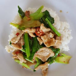 ข้าวราดคะน้าหมูชิ้น