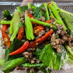 ข้าวราดเนื้อสับคะน้าน้ำมันหอย