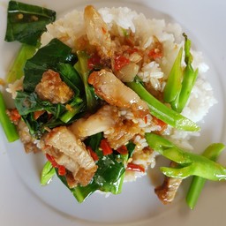 ข้าวราดคะน้าหมูกรอบ