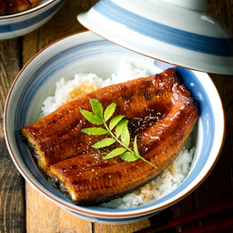 Unagi Don ข้าวหน้าปลาไหลญี่ปุ่น
