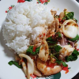 ผัดกะเพรารวมมิตรราดข้าว
