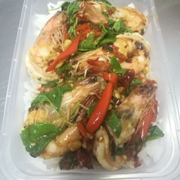 ผัดกะเพรากุ้งราดข้าว