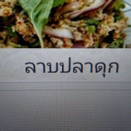 ลาบปลาดุก