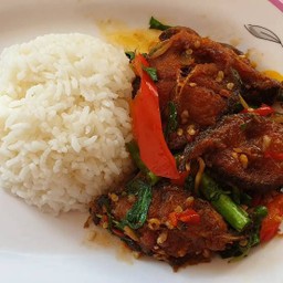 ข้าวราดผัดเผ็ดปลาดุกทอดกรอบ