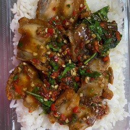 ข้าวกะเพราพริกแห้งหมูกรอบ