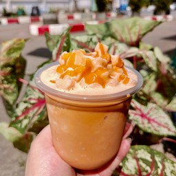 ปังเย็นชาไทย