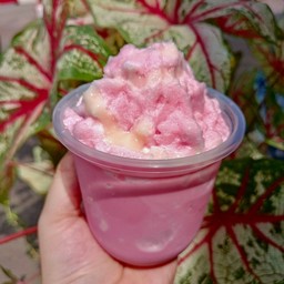 ปังเย็นนมชมพู