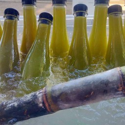 นายมินน้ำอ้อยคั้นสด นายมินน้ำอ้อยคั้นสด