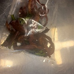 ลุงหมีหมูแดดเดียว ตลาดมีสุข