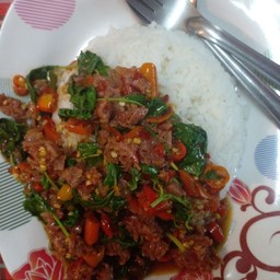 กระเพราโจรแหน่ม ราดข้าว