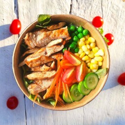 สลัดอกไก่ย่าง