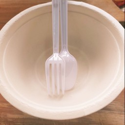 ชาม+ช้อมส้อม (พร้อมใช้ แล้วทิ้ง)