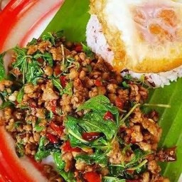 กะเพราโบราณพริกแห้งราดข้าว