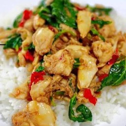 ข้าวกะเพราไก่ ธรรมดา