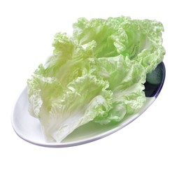 ผักกาดขาว