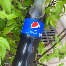 กรองแก้ว ข้าวมันไก่