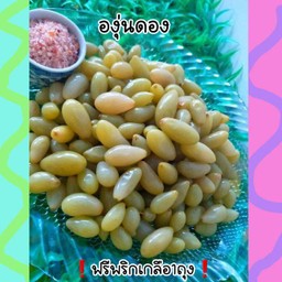 กอล์ฟ ผลไม้ ข้างร้าน adda (ถนนสีหราชเดโชชัย) -