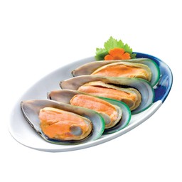 หอยแมลงภู่นิวซีแลนด์