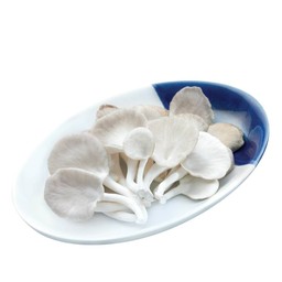 เห็ดภูฏาน