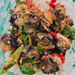 ข้าวกระเพราหอยเชอรี่