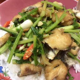 ปลาผัดคืนฉ่าย