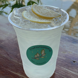 Lemon Soda
