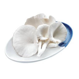 เห็ดฮังการี