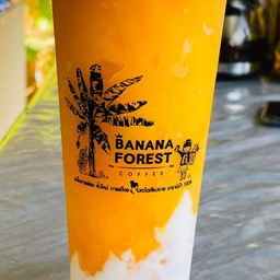 Orange ส้มโยเกริต์