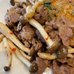 ข้าวราดเห็ดหลินผัดน้ำมันหอย