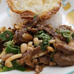 ข้าวเขียวหวานเนื้อใบยี่หร่า+ไข่ดาว